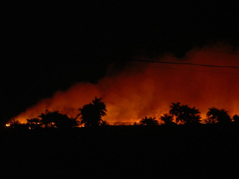 © Veronika Breuer - Image from the A Duna Vallomása - By the Danube photography project