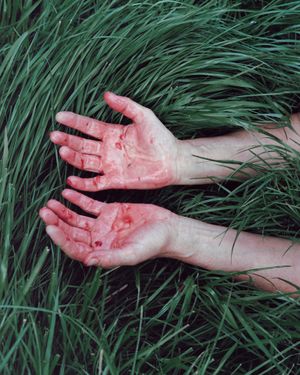 Sometimes the sky above us is open.