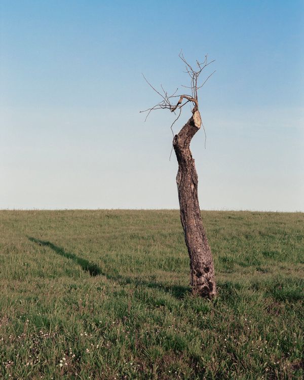 © Sarah Grethe - Image from the Sometimes the sky above us is open. photography project