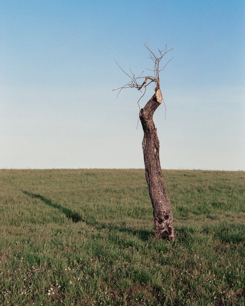 © Sarah Grethe - Image from the Sometimes the sky above us is open. photography project