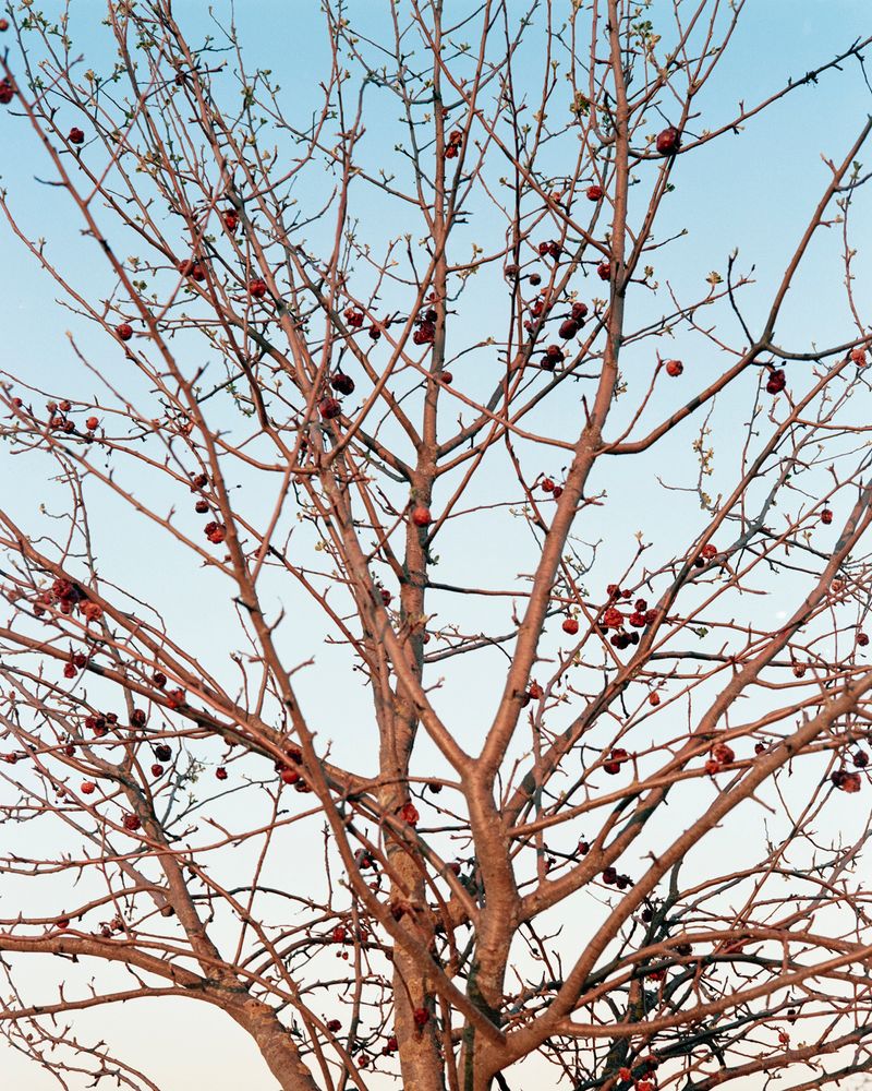 © Sarah Grethe - Image from the Sometimes the sky above us is open. photography project