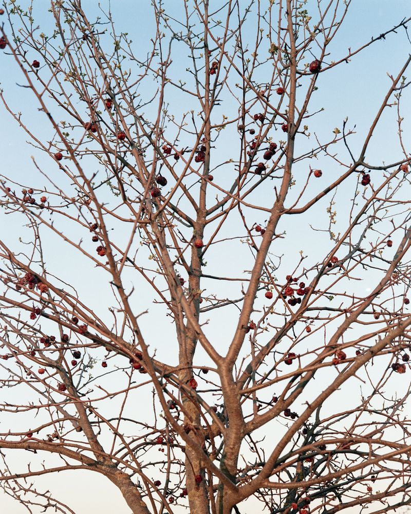 © Sarah Grethe - Image from the Sometimes the sky above us is open. photography project