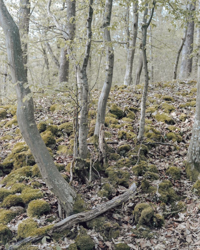 © Sarah Grethe - Image from the Sometimes the sky above us is open. photography project