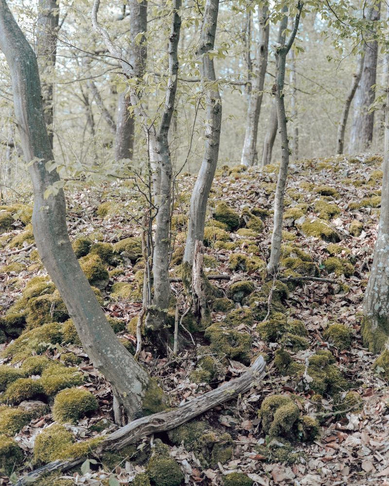 © Sarah Grethe - Image from the Sometimes the sky above us is open. photography project