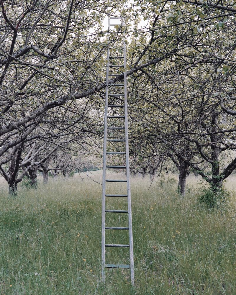 © Sarah Grethe - Image from the Sometimes the sky above us is open. photography project