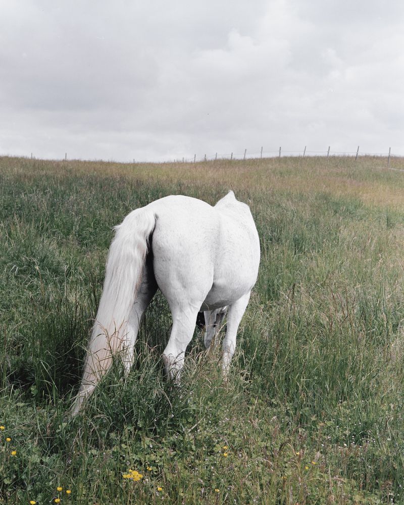 © Sarah Grethe - Image from the Sometimes the sky above us is open. photography project