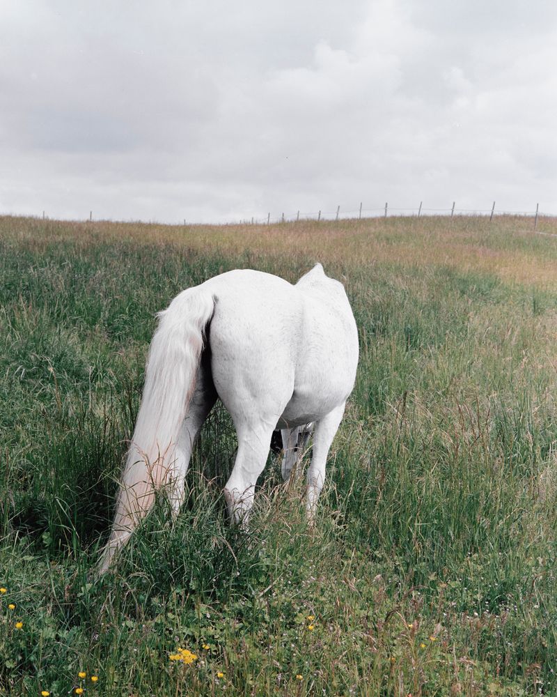 © Sarah Grethe - Image from the Sometimes the sky above us is open. photography project