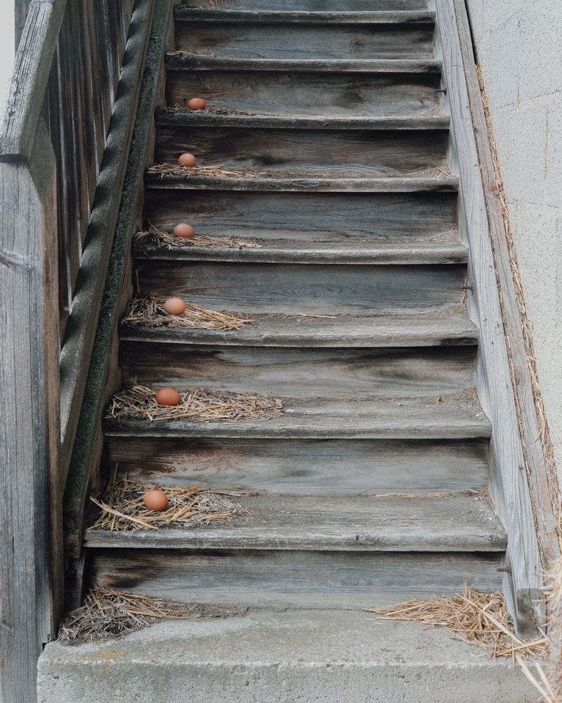 © Sarah Grethe - Image from the Sometimes the sky above us is open. photography project