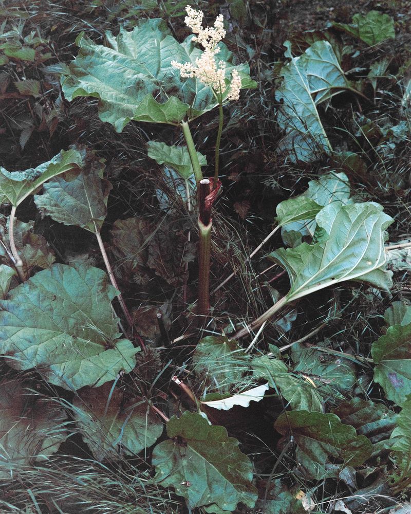 © Sarah Grethe - Image from the Sometimes the sky above us is open. photography project