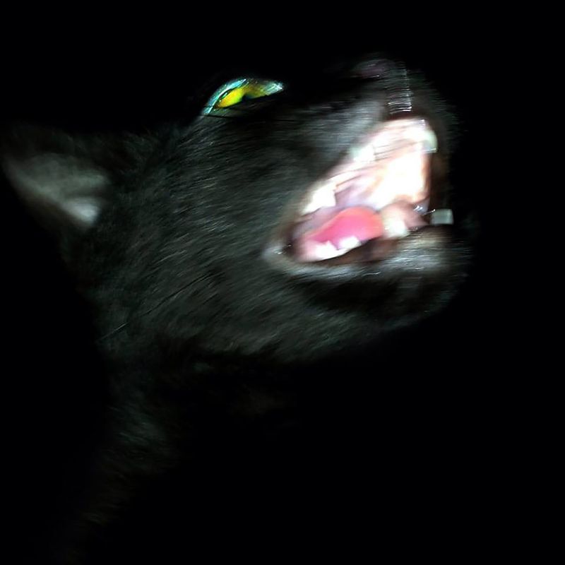 © Melisa Scarcella - Image from the Luz Mala (Bad Light) photography project