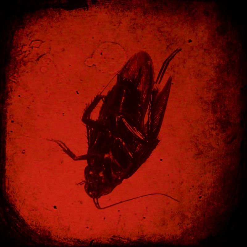 © Melisa Scarcella - Image from the Luz Mala (Bad Light) photography project