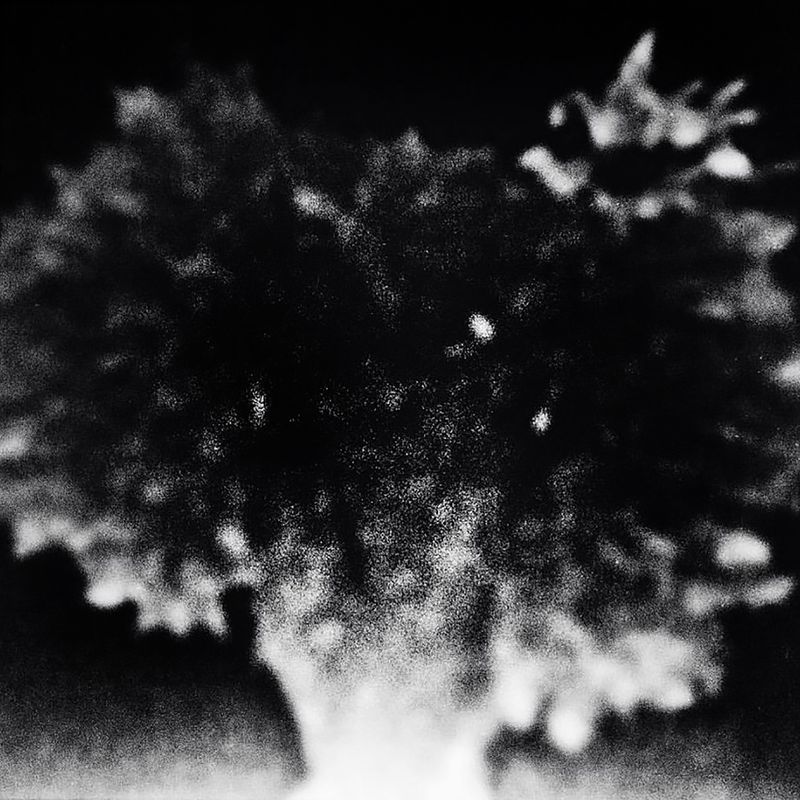 © Melisa Scarcella - Image from the Luz Mala (Bad Light) photography project