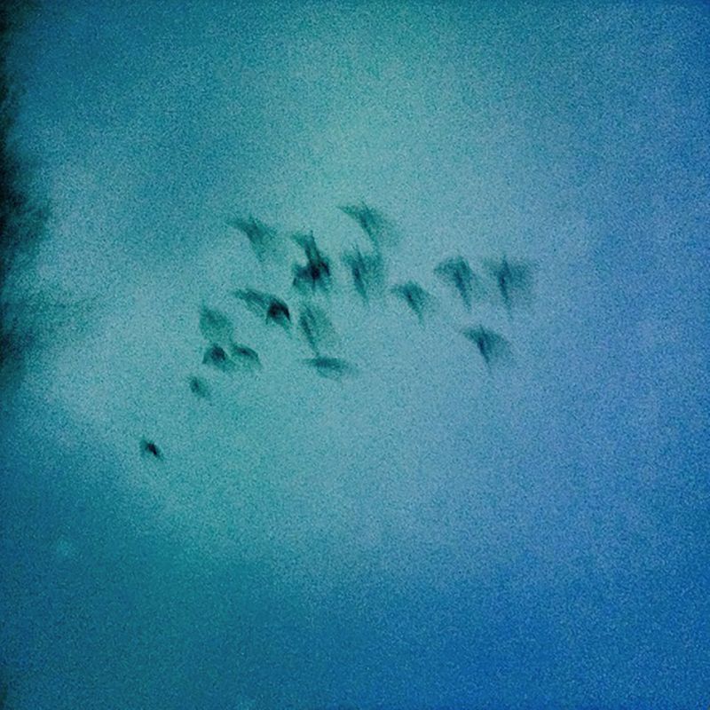 © Melisa Scarcella - Image from the Luz Mala (Bad Light) photography project