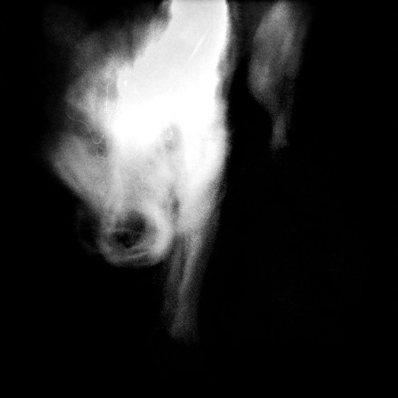 © Melisa Scarcella - Image from the Luz Mala (Bad Light) photography project