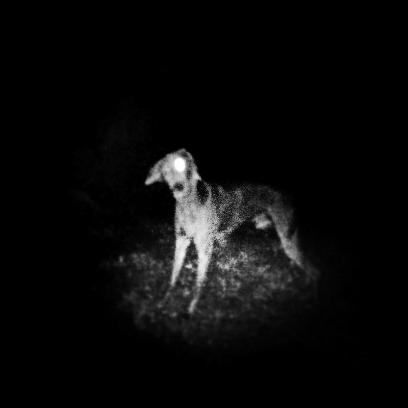 © Melisa Scarcella - Image from the Luz Mala (Bad Light) photography project