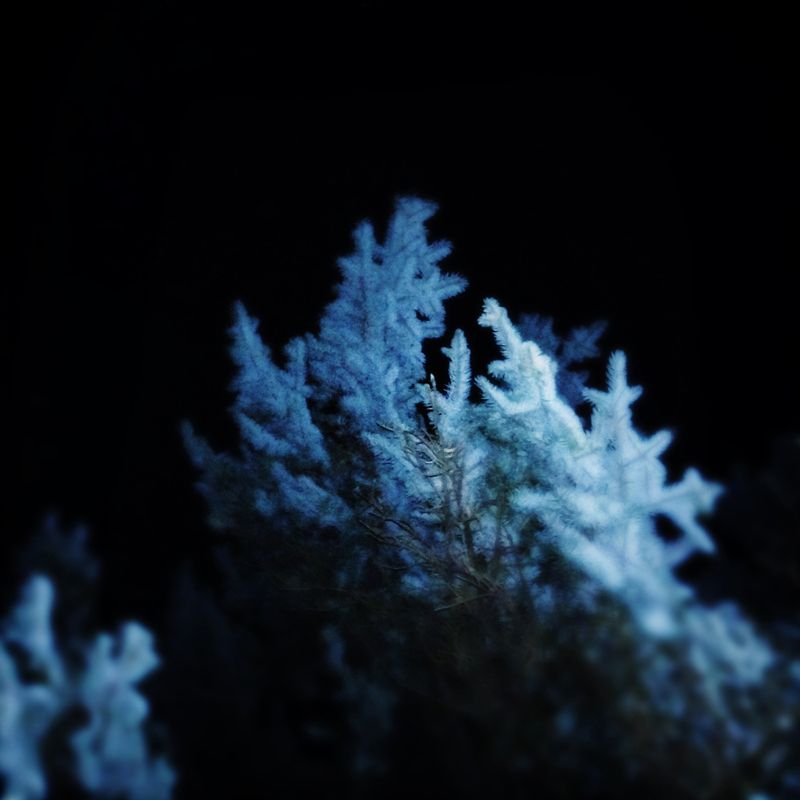 © Melisa Scarcella - Image from the Luz Mala (Bad Light) photography project