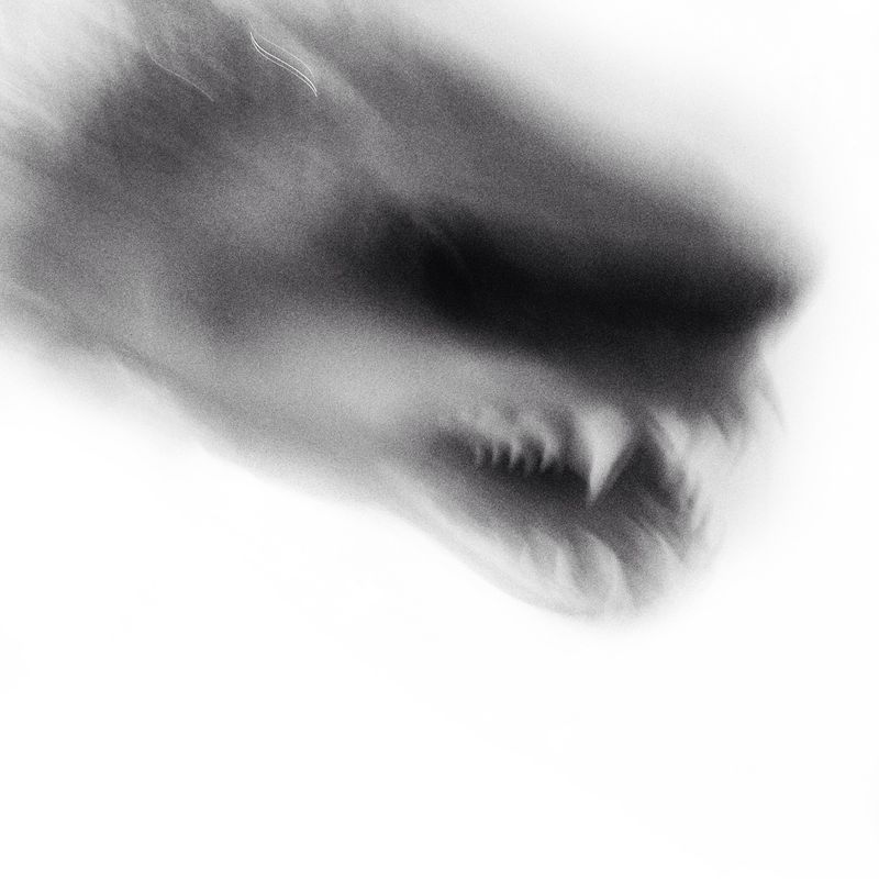 © Melisa Scarcella - Image from the Luz Mala (Bad Light) photography project