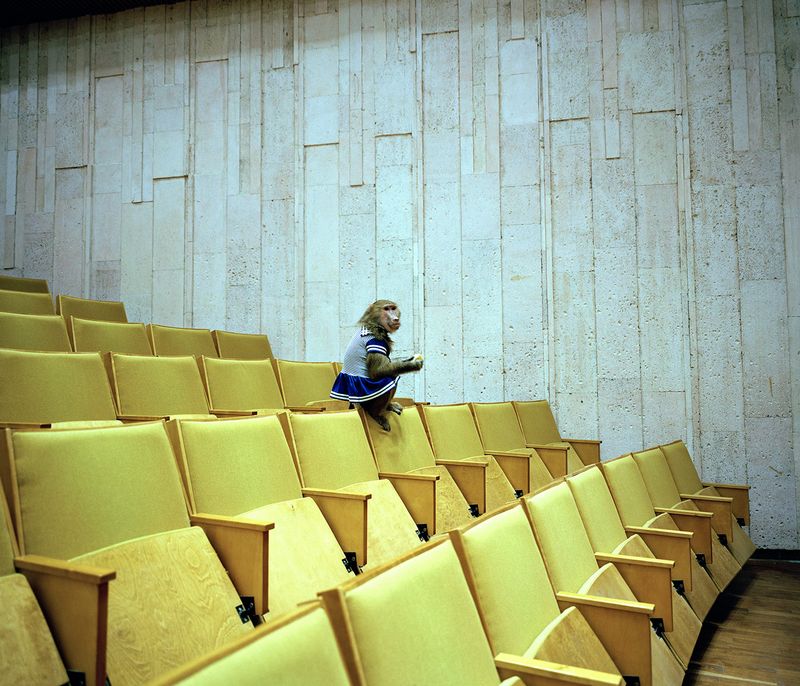 © Michal Solarski - Image from the Rest Behind Curtain photography project