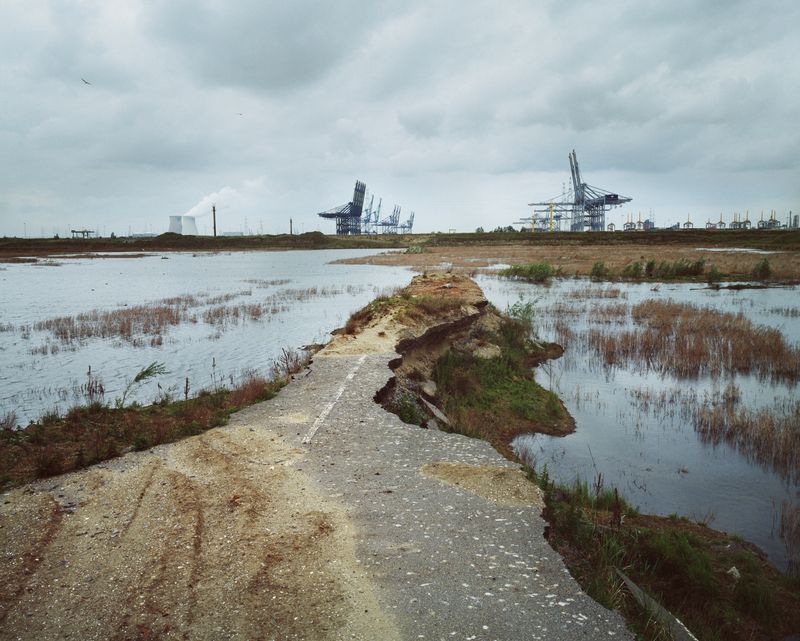 © Isabelle Pateer - Temporary nature reserve area.