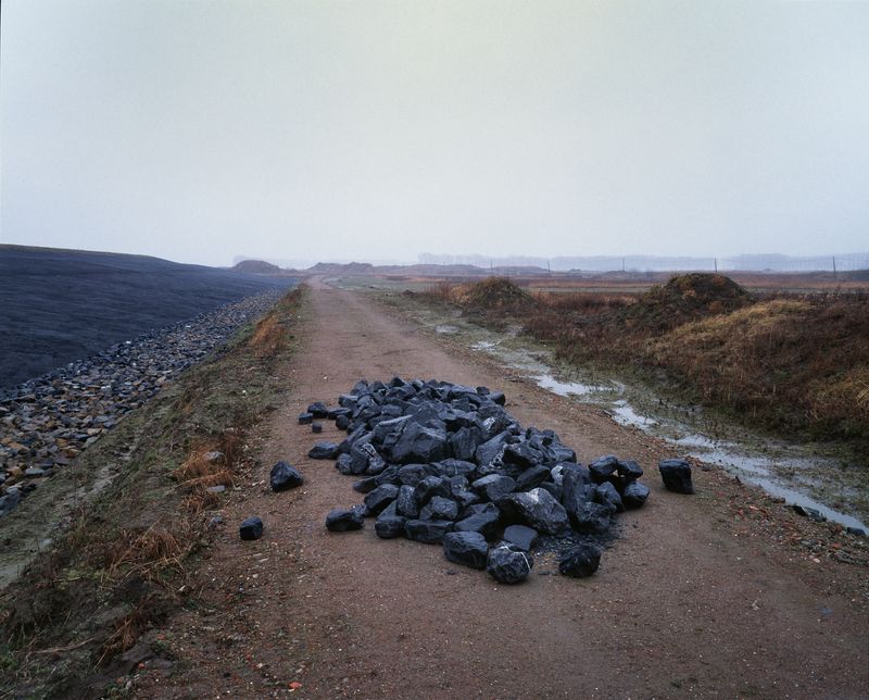 © Isabelle Pateer - Nature compensation plans are being executed in the former Prosperpolder