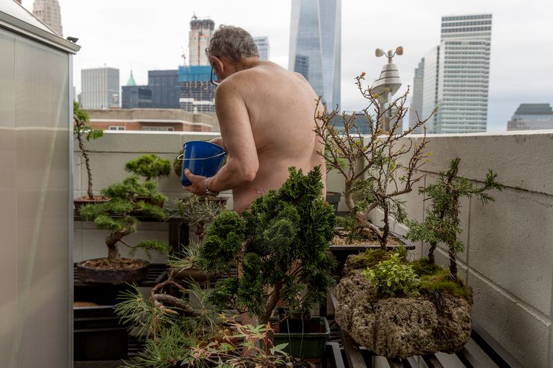 © Susan Rosenberg Jones - On the Terrace