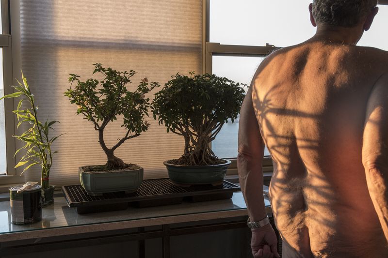 © Susan Rosenberg Jones - Bonsai Back