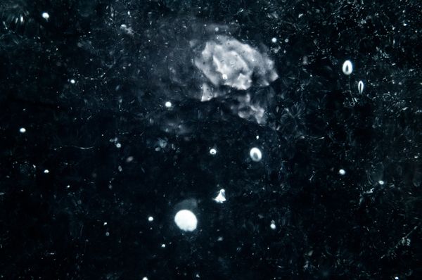 © Nathalie Vissers - Image from the Field Trip to the milky way photography project