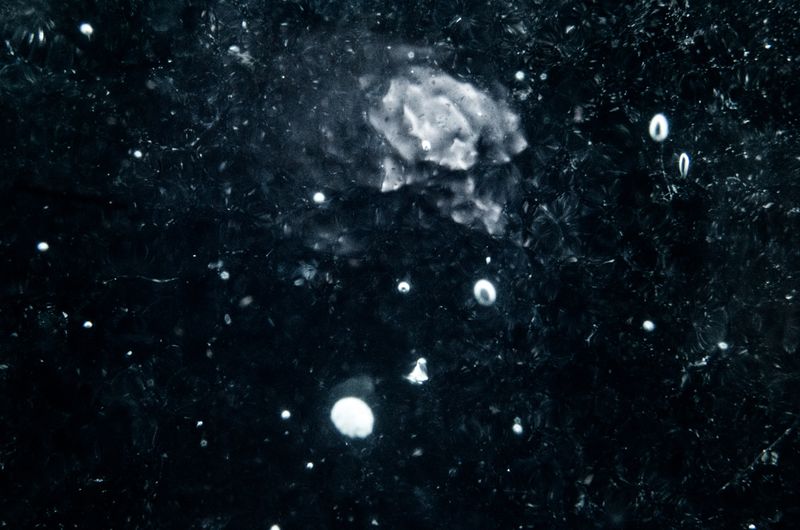 © Nathalie Vissers - Image from the Field Trip to the milky way photography project