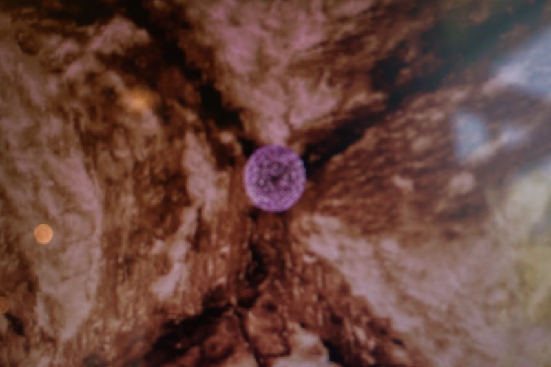 © Nathalie Vissers - Image from the Field Trip to the milky way photography project