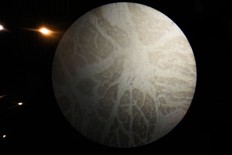 © Nathalie Vissers - Image from the Field Trip to the milky way photography project