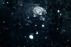 Field Trip to the milky way