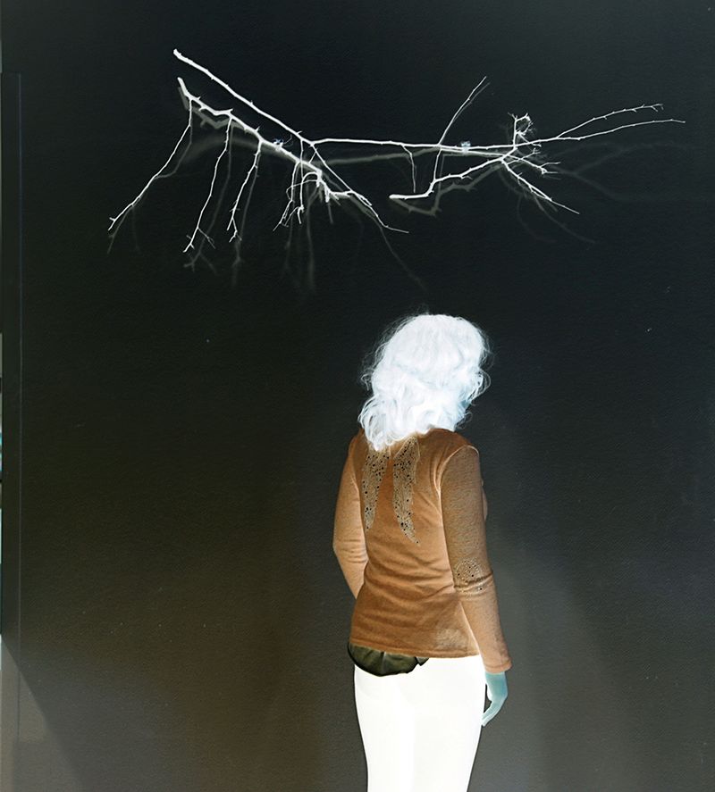 © pastureau lucie - Image from the Luminescences photography project