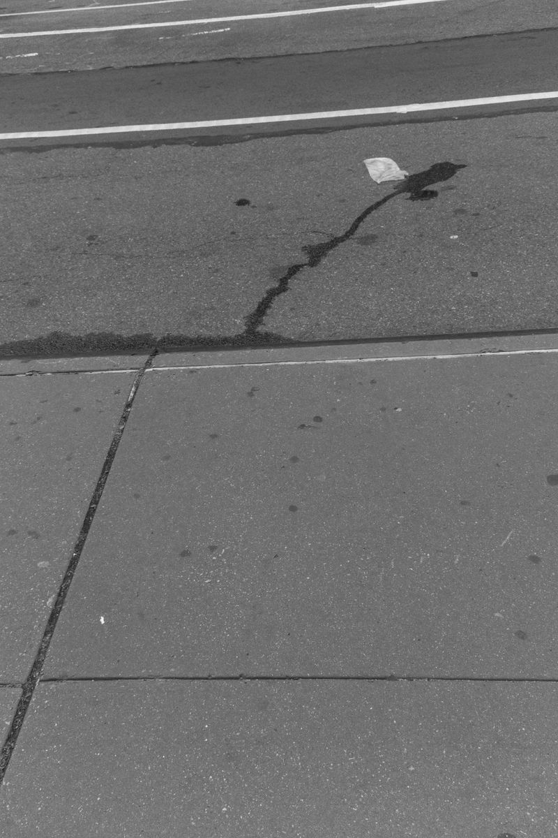 © Clover Green - Image from the New York Unseen: Abstracted photography project