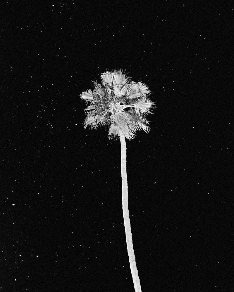 © Álvaro Muñoz - Image from the The Unknown Seasons photography project