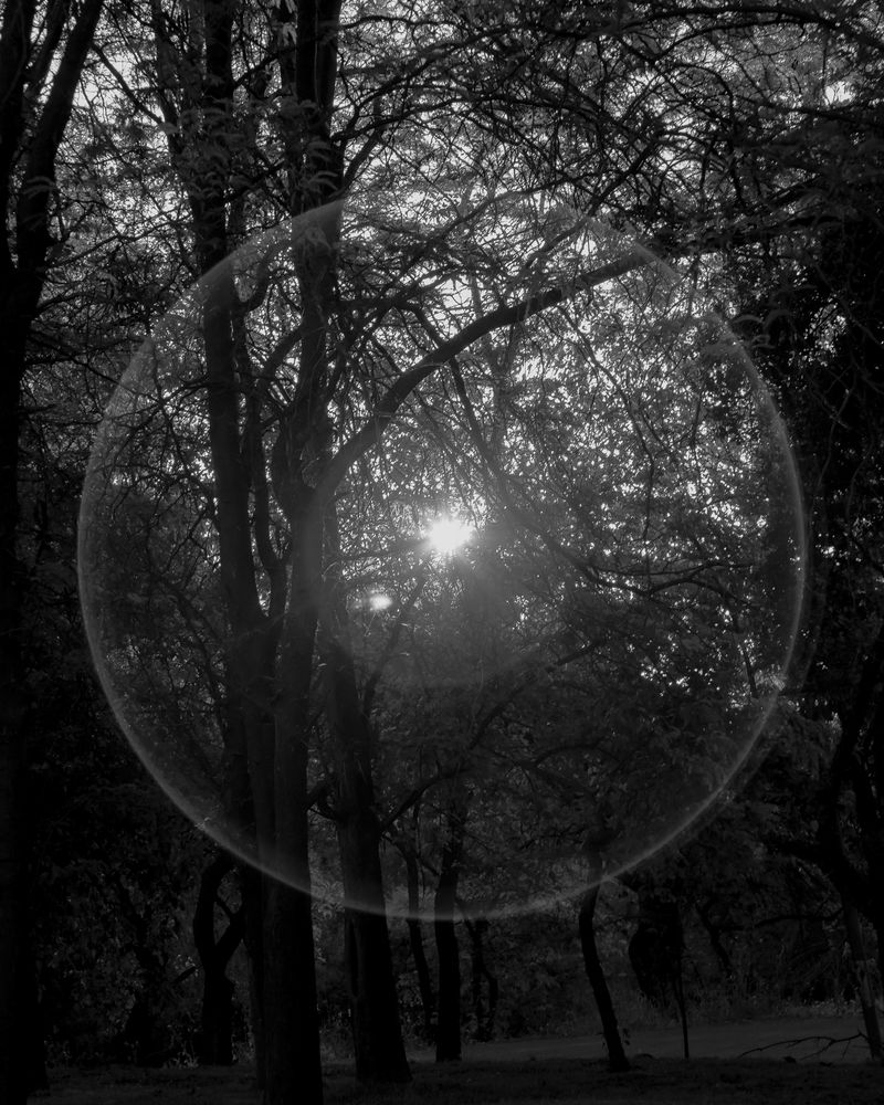 © Álvaro Muñoz - Image from the The Unknown Seasons photography project