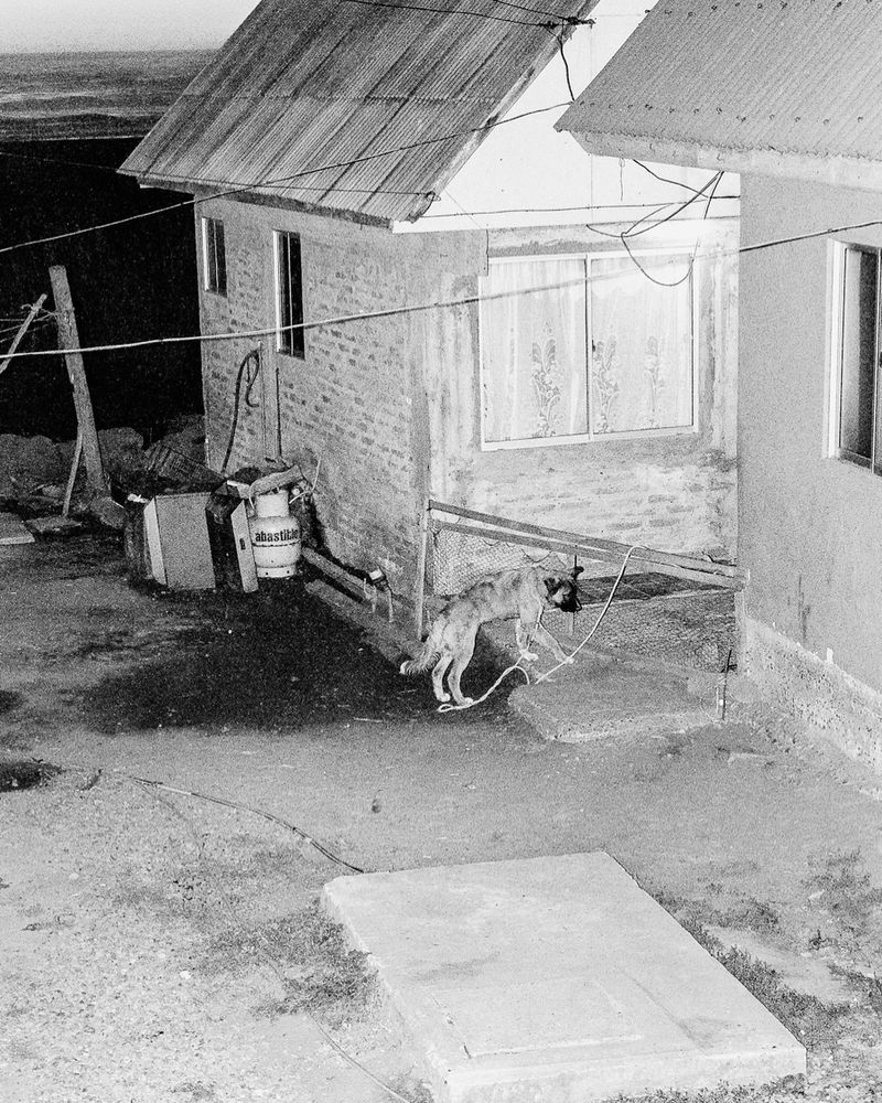 © Álvaro Muñoz - Image from the The Unknown Seasons photography project