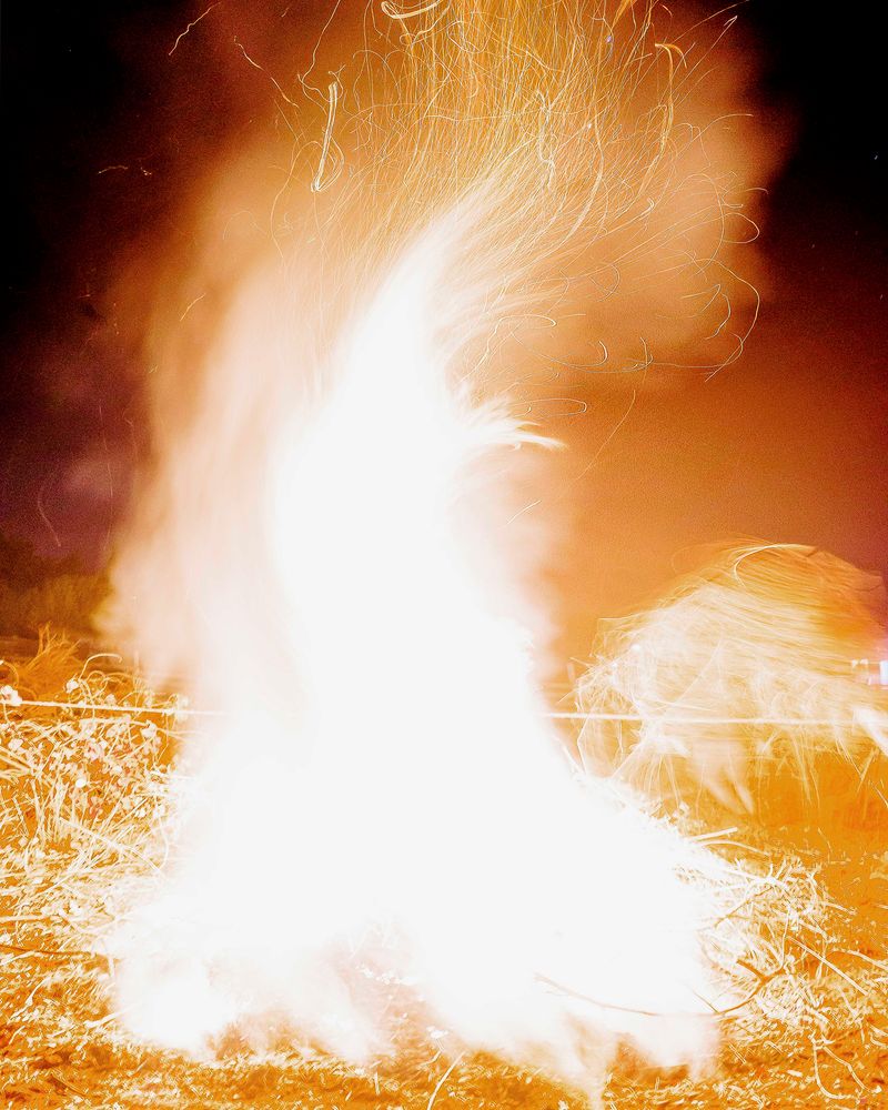 © Álvaro Muñoz - Image from the The Unknown Seasons photography project