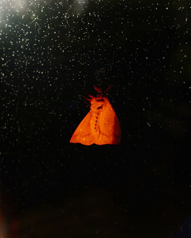 © Álvaro Muñoz - Image from the The Unknown Seasons photography project