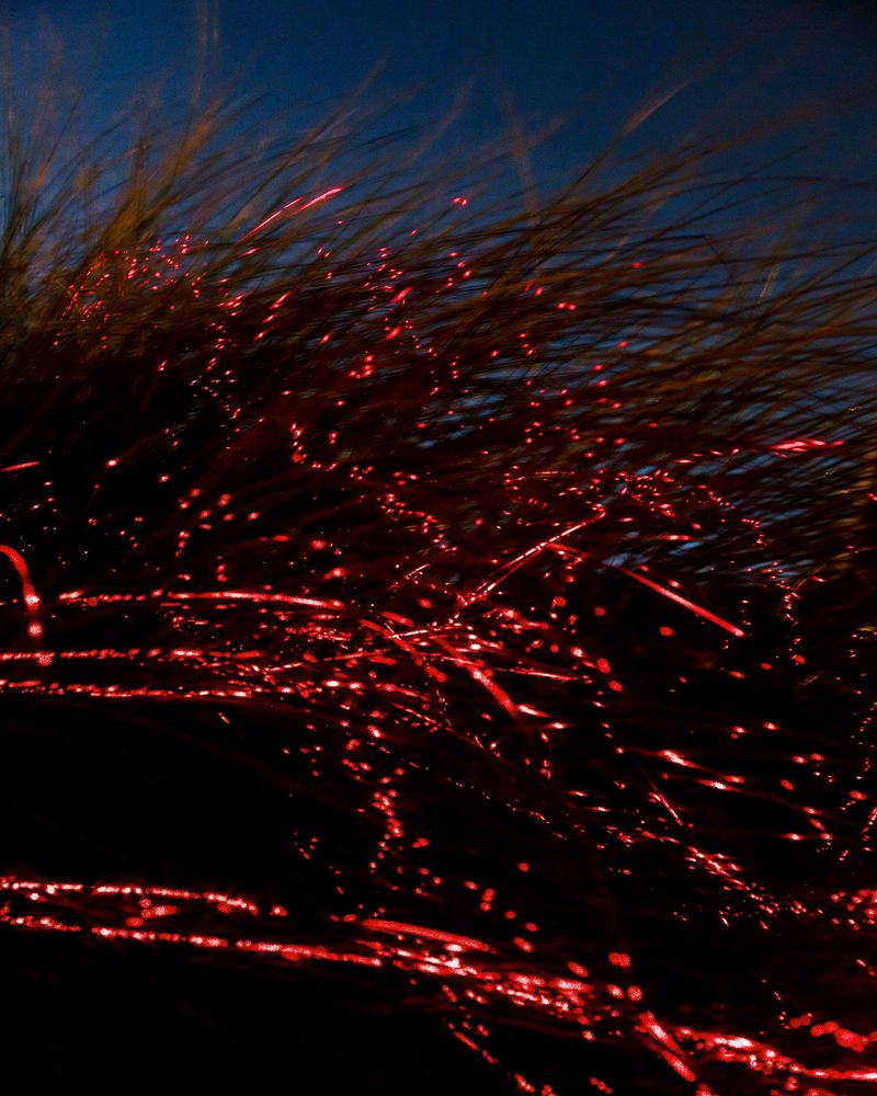 © Álvaro Muñoz - Image from the The Unknown Seasons photography project