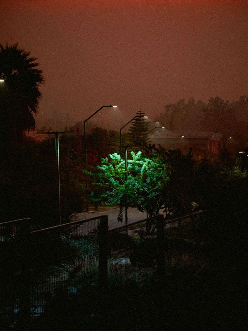 © Álvaro Muñoz - Image from the The Unknown Seasons photography project