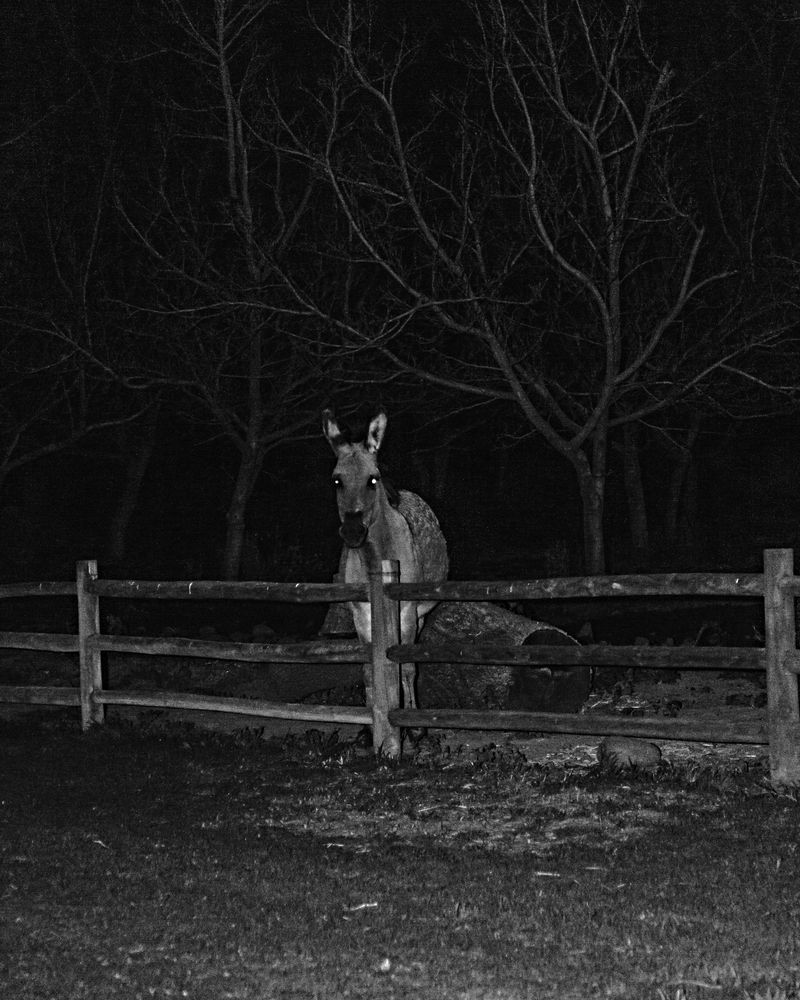 © Álvaro Muñoz - Image from the The Unknown Seasons photography project