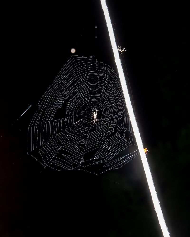 © Álvaro Muñoz - Image from the The Unknown Seasons photography project