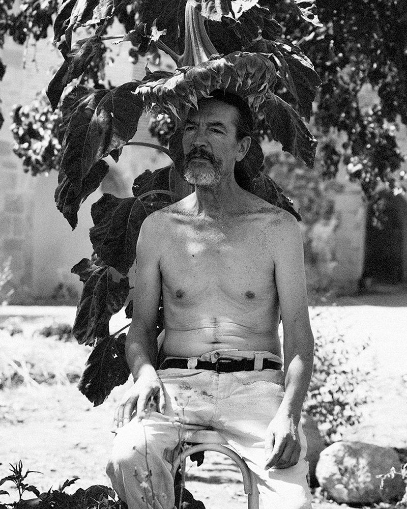 © Nathalie Mohadjer - Paco under sunflower