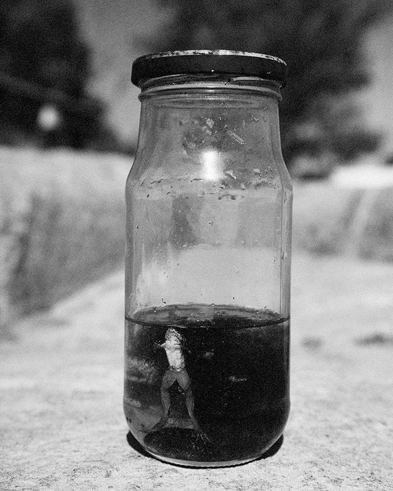 © Nathalie Mohadjer - frog in glass