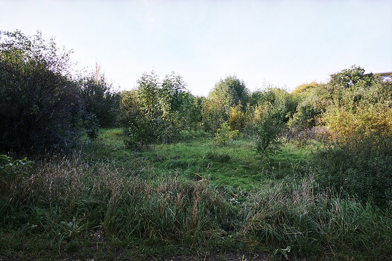 © Nathalie Mohadjer - Image from the Zwei Bier für Haiti photography project