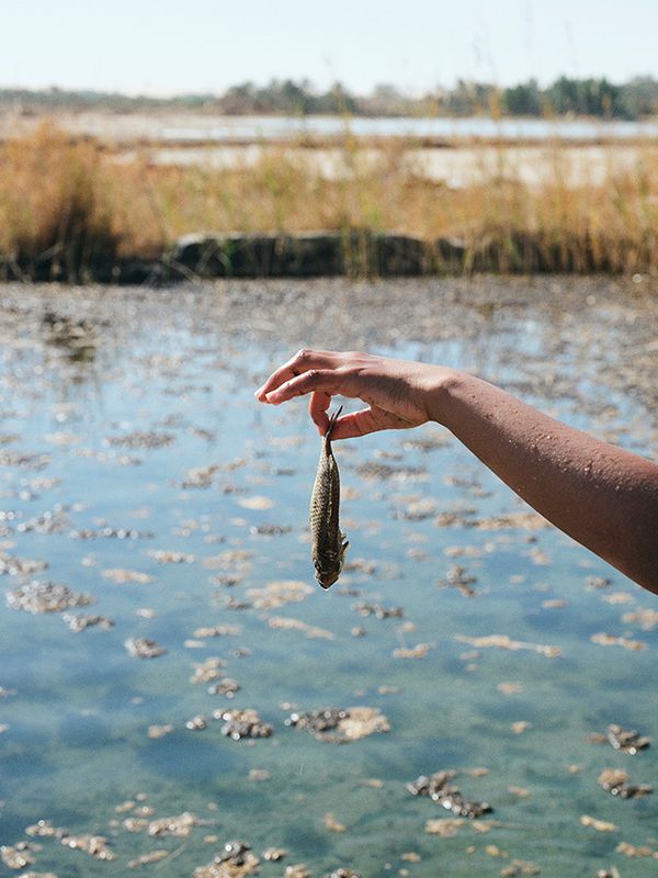 © Nathalie Mohadjer - Mohammad holding a dead fish at a cold spring.