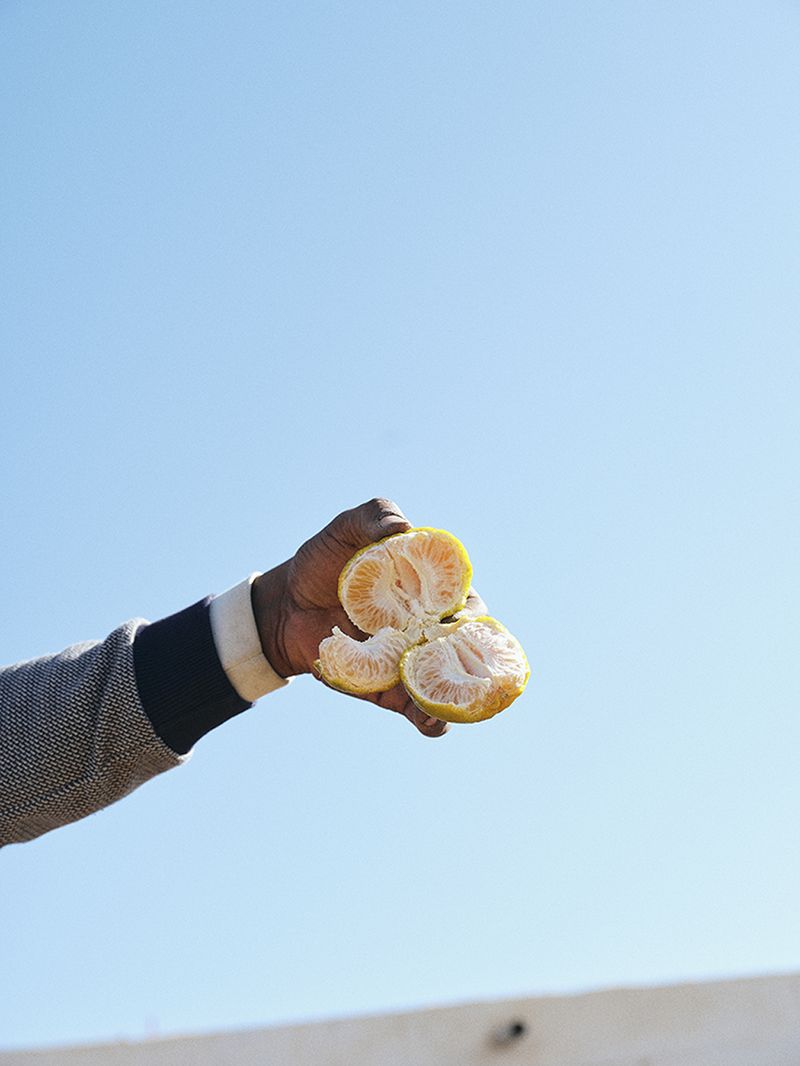 © Nathalie Mohadjer - Oranges in a man's hand