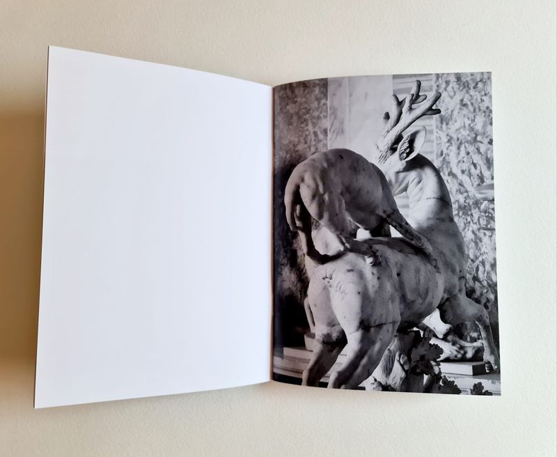 © Martyna Benedyka - Image from the Kintsugi photography project