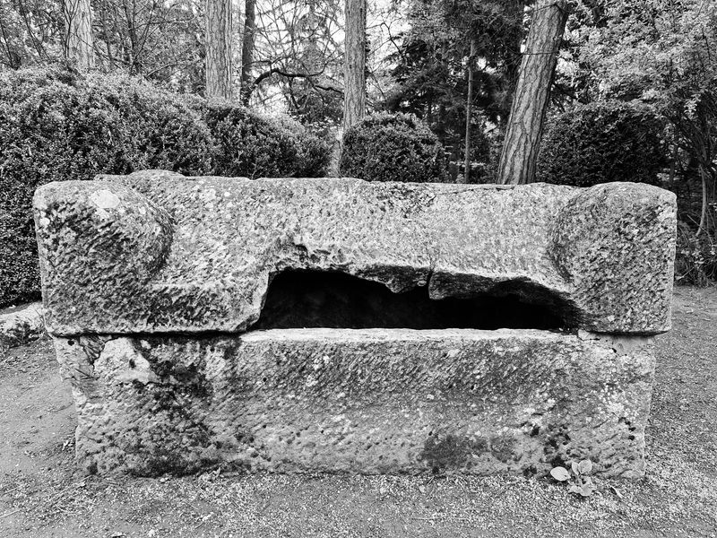 © Martyna Benedyka - Image from the Kintsugi photography project