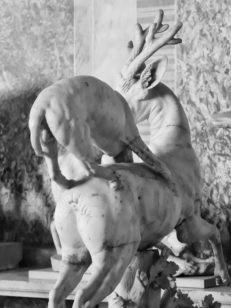 © Martyna Benedyka - Image from the Kintsugi photography project